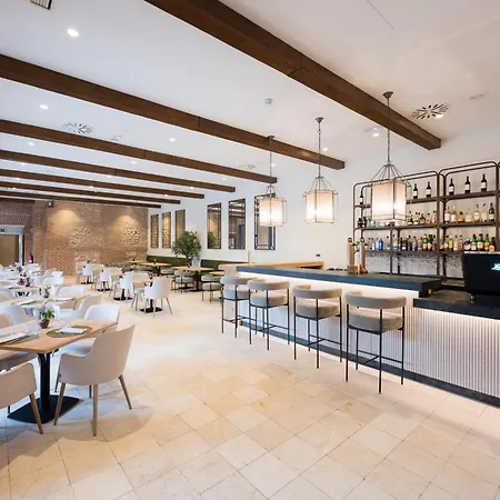 Castilla Termal 4* Ольмедо