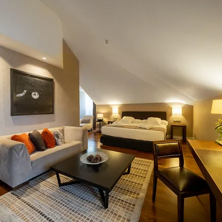 Castilla Termal 4* オルメド