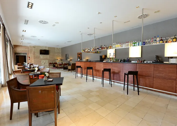 Hotel Castilla Termal Olmedo