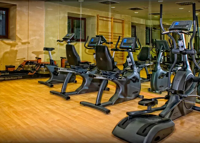 Castilla Termal 호텔 올메도