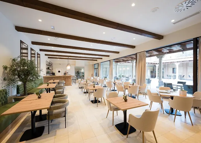 Hotel Castilla Termal Olmedo