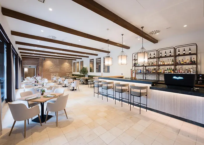 Castilla Termal 4* Olmedo