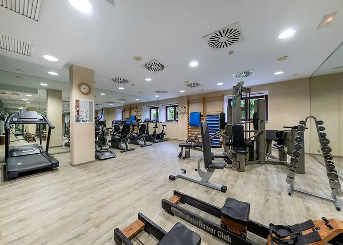 Castilla Termal 올메도